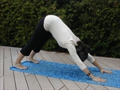 1- Yoga Débutant matinal